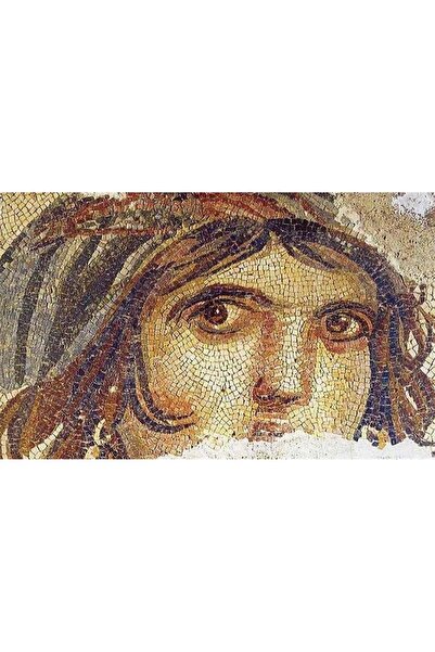 Pastelya Sayılarla Boyama Seti Çerçeveli Kasnaklı Zeugma Mozaik Çingene Kızı 40x50 cm