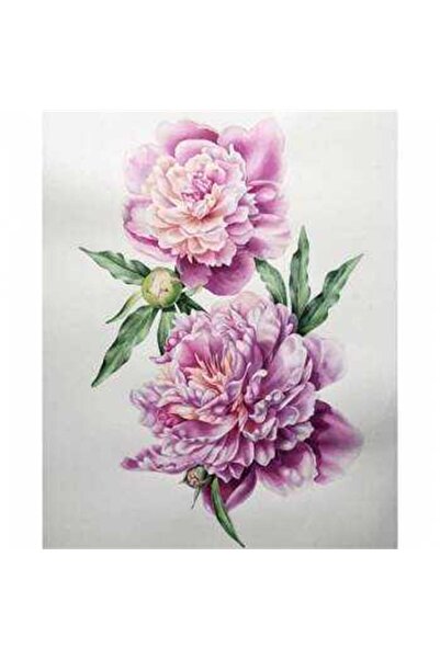 Pastelya Sayılarla Boyama Seti Çerçeveli Kasnaklı Pembe Çiçekler 40x50 cm