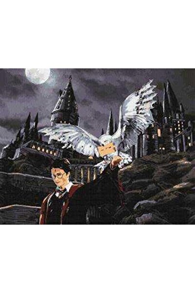 Pastelya Sayılarla Boyama Seti Çerçeveli Kasnaklı Harry Potterin Baykuşu 40x5...