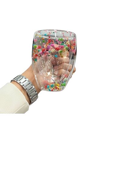 Generic Pyrex Glass Cup Two-Layer Transparent Decorated With Dried Flowers On The Inside With A Handle,300ML