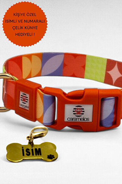 CARAMELOS İSİMLİ KÖPEK TASMASI, İSİMLİ TASMA, ORTA VE BÜYÜK IRK TASMA, KÖPEK TASMA, KİŞİYE ÖZEL TASMA, 2,5 CM