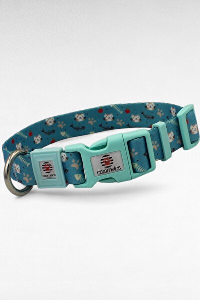 CARAMELOS İSİMLİ KÖPEK TASMASI, İSİMLİ TASMA, ORTA VE BÜYÜK IRK TASMA, KÖPEK TASMA, KİŞİYE ÖZEL TASMA, 2,5 CM