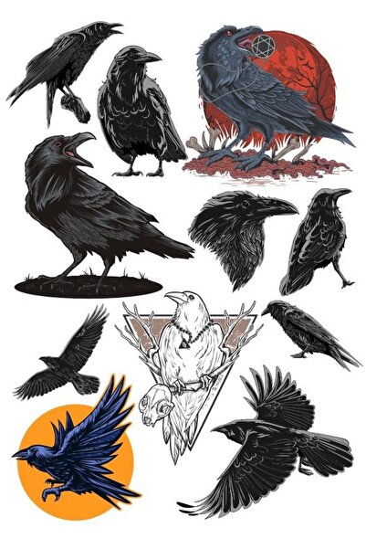 Reysa Tasarım Karga Sticker Set-1 11 Parça Telefon, Tablet, Defter, Laptop St...