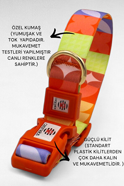 CARAMELOS İSİMLİ KÖPEK TASMASI, İSİMLİ TASMA, ORTA VE BÜYÜK IRK TASMA, KÖPEK TASMA, KİŞİYE ÖZEL TASMA, 2,5 CM