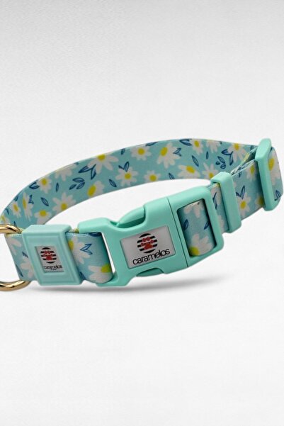 CARAMELOS İSİMLİ KÖPEK TASMASI, İSİMLİ TASMA, ORTA VE BÜYÜK IRK TASMA, KÖPEK TASMA, KİŞİYE ÖZEL TASMA, 2,5 CM