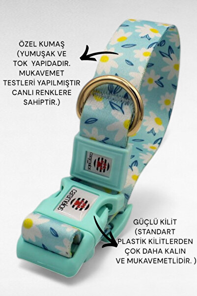 CARAMELOS İSİMLİ KÖPEK TASMASI, İSİMLİ TASMA, ORTA VE BÜYÜK IRK TASMA, KÖPEK TASMA, KİŞİYE ÖZEL TASMA, 2,5 CM