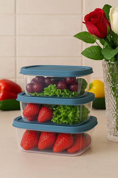 Doğuş Mutfak 3 Pieces Rectangular Food Storage Container - Microwave Suitable Organizer Organizer Blue