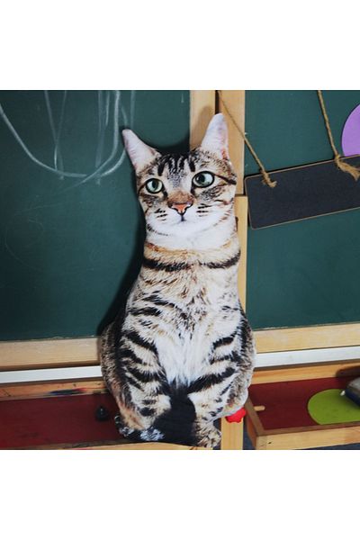 Miaoowa 50cm shoutiaowen 50cm Cute Lifelike 3D Cat Dog Plush Toys Stuffed Soft Animal Doll Simulation Sleep