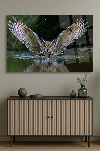 TAULART NEVEROVATNA VISUALNA SLIKA SOVE PRIRODNA SLIKA NELOMILO STAKLO SLIKA ...