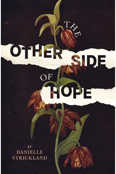 Thomas Nelson The Other Side Of Hope Flipping The Script On Cynicism And Despair And Rediscovering Our Humanity