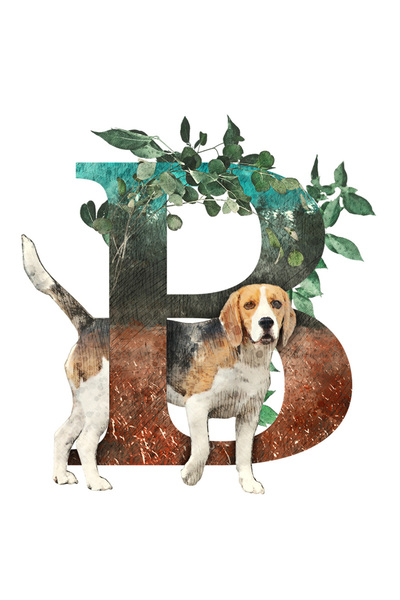 StoryGift Romania Sticker Adeziv 90CM Cu Beagle, Catel, Litera, B, Frunze, cu Margini Albe, PVC Vinyl 90 cm