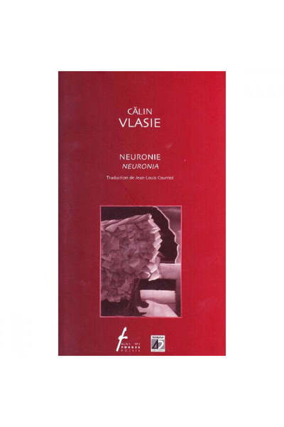 Paralela 45 Neurony - Călin Vlasie