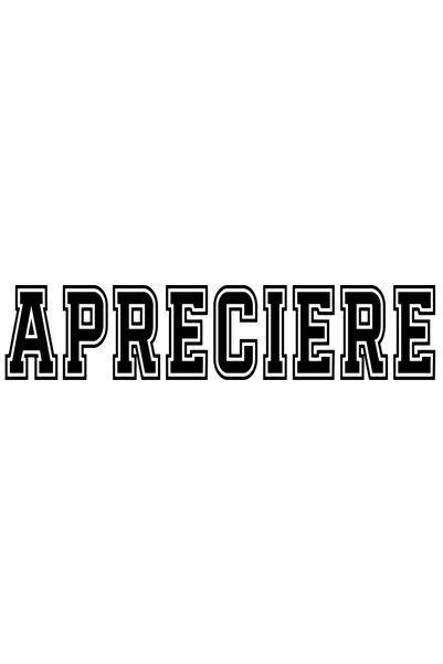 StoryGift Romania Sticker Eticheta 40CM Apreciere, Mesaj Motivational, Text I...