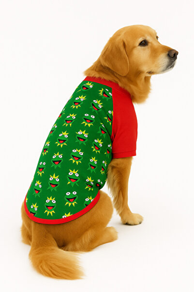 DOGİ&DOG Large Breed Frog Summer Dog T-Shirt (11-45 kg)