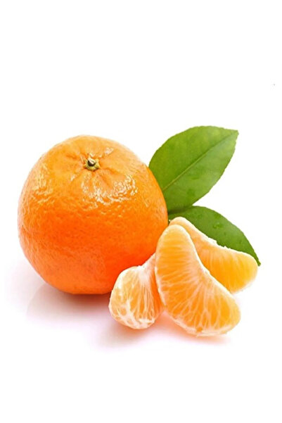 Hamile Marketim Mandalina Taze 3 Adet
