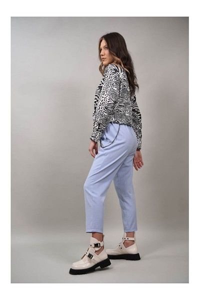 Caspiche Pantaloni In Stil Barbatesc Aether Talie Unica Baby Blue