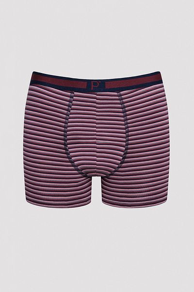 Penti Stripes 3 Pack Πολύχρωμα Boxers