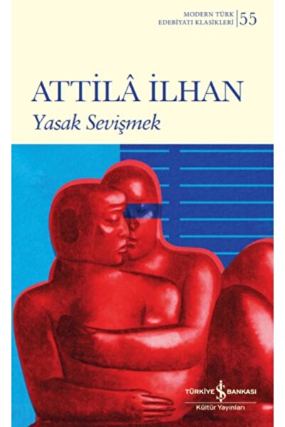 TÜRKİYE İŞ BANKASI KÜLTÜR YAYINLARI Yasak Sevişmek