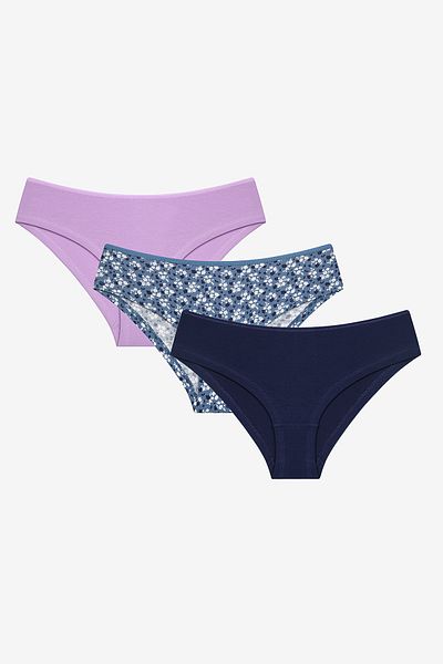 Penti Vintage Floral 3 τεμαχίων πολύχρωμο Hipster εσώρουχο