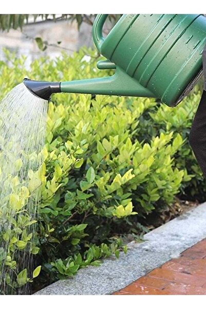 Generic Vitacelli Garden Water Can 5 Liter (37cm X 26cm X 21cm)