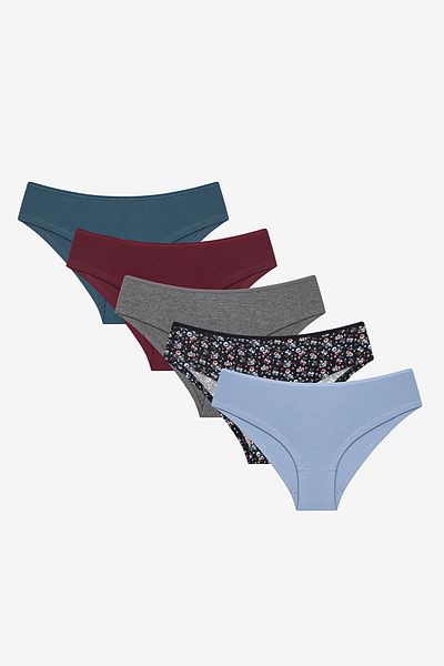 Penti Πολύχρωμο Hipster εσώρουχο Wildwood 5 Pack