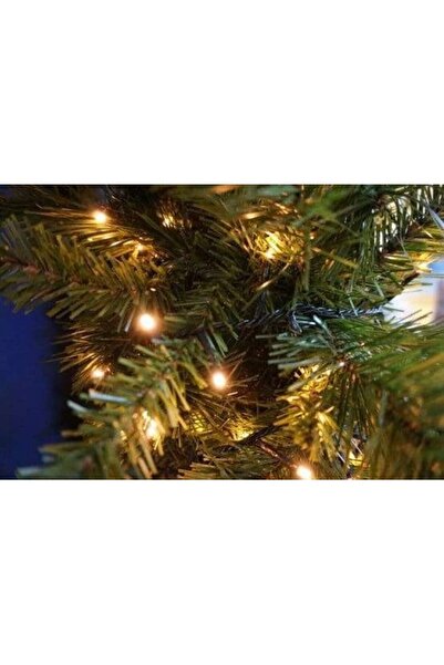 Flippy Battery Christmas Light String, Linear, 2 Light Modes, Green Wire, 5 m, 50 LEDs, Warm White