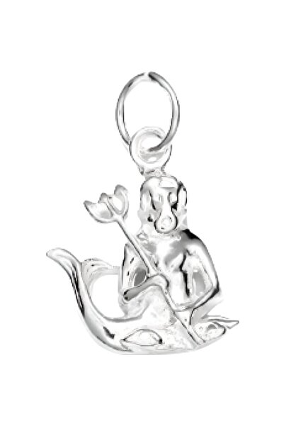 Jolie Silver 925 Silver Pendant, Aquarius