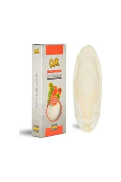 Quik Orta Boy Mürekkep Balığı (Kalamar) Kemiği