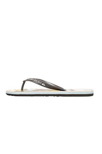 Quiksilver Molokai Art 25 Men's Slippers Men's Slippers Aqyl101430