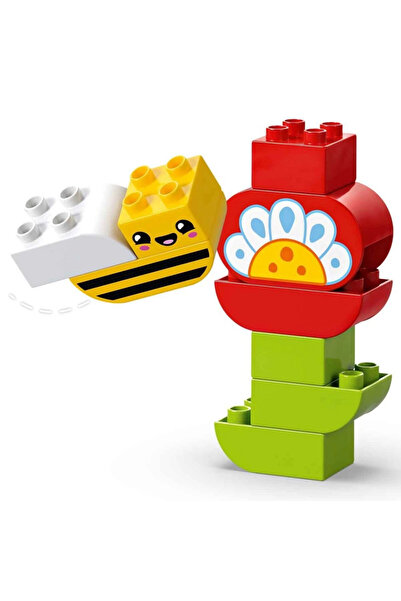 NW NessiWorld تاون كريتيف جاردن و الزهور 10444