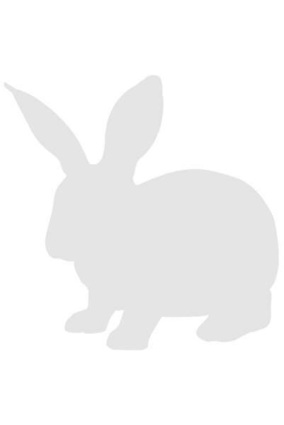 StoryGift Romania Sticker Eticheta 50CM Exterior cu un iepuras - mic rozator ...