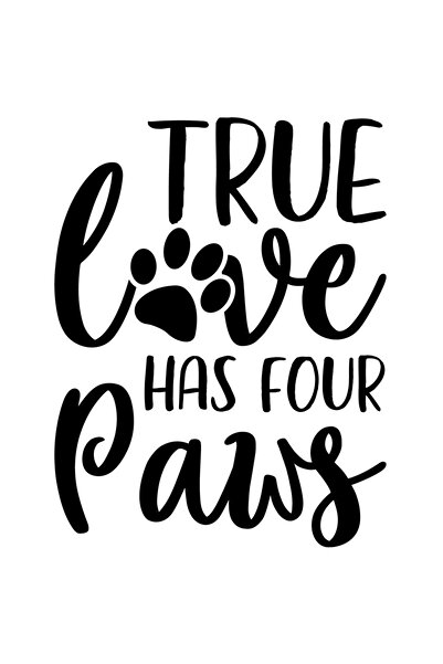 StoryGift Romania Sticker Autocolant 30CM Exterior cu mesajul "True love has four paws" - iubirea adevarata are