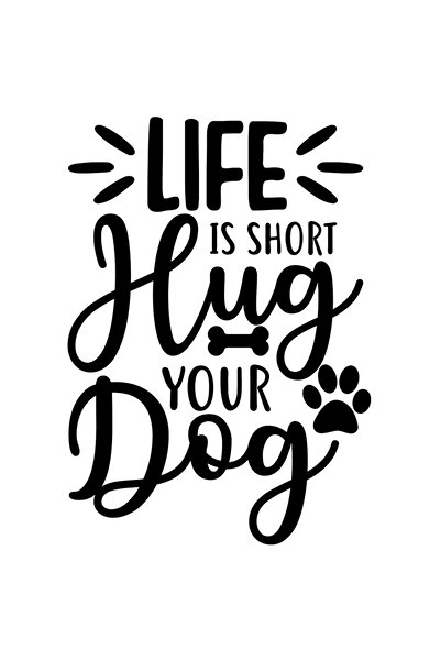 StoryGift Romania Sticker Autocolant 30CM Exterior cu un os si textul "Viata ...