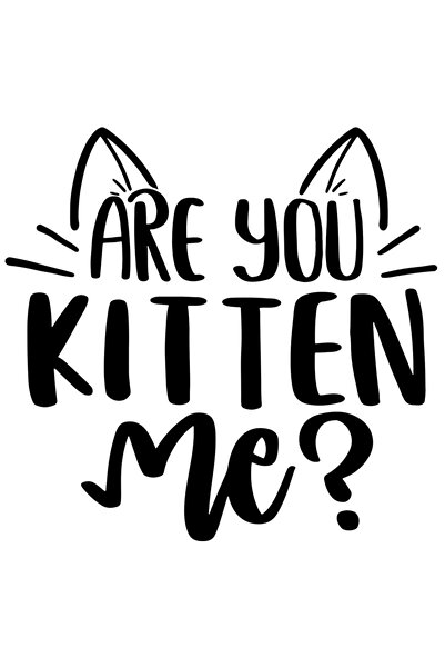 StoryGift Romania Sticker Exterior cu mesajul in engleza "Are you kitten me?"...