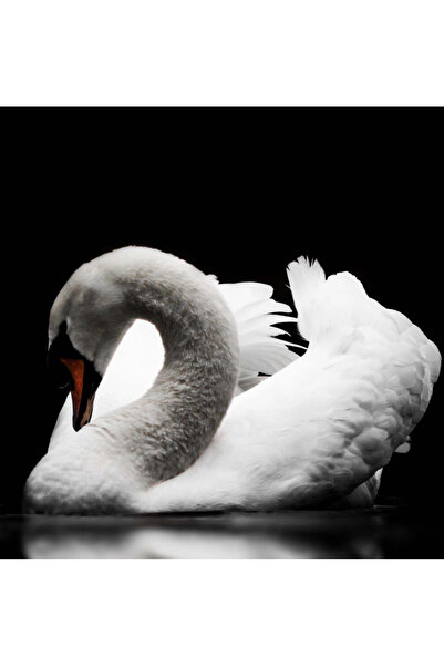 zola Diamond mosaic tapestry, white swan pattern, 20 x 20 cm