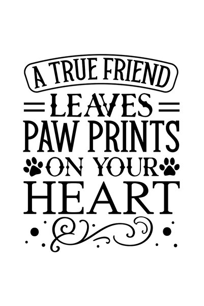 StoryGift Romania Sticker Exterior Cu Mesaj Din Care Reiese Ca Un Prieten Ade...