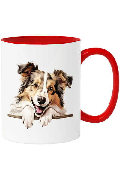 StoryGift Romania Cana cu un caine jucaus care sta agatat de gard | abia aste...