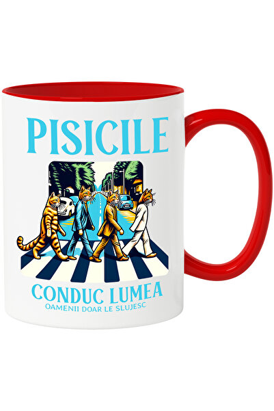 StoryGift Romania Cana Pisici in costum traversand strada, conduc lumea, 330m...