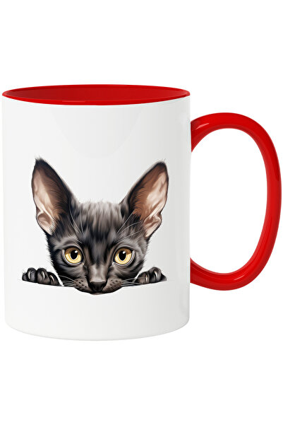 StoryGift Romania Cana cu o pisicuta neagra care priveste sfioasa | ilustrati...