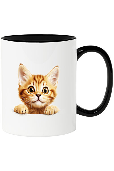 StoryGift Romania Cana cu o pisicuta surprinsa care sta agatata | ilustratie ...