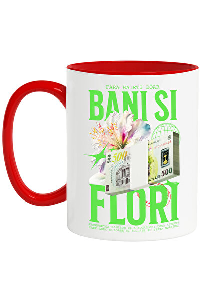 StoryGift Romania Cana Fara Baieti Doar Bani si Flori, 330ml, Ceramic cu Mane...