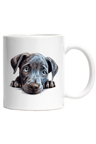 StoryGift Romania Cana cu un catelus timid | ilustratie | cenusiu | ochi puti...