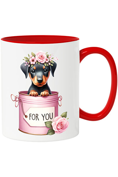 StoryGift Romania Cana cu un catelus curios care iese dintr-o conserva | ilus...