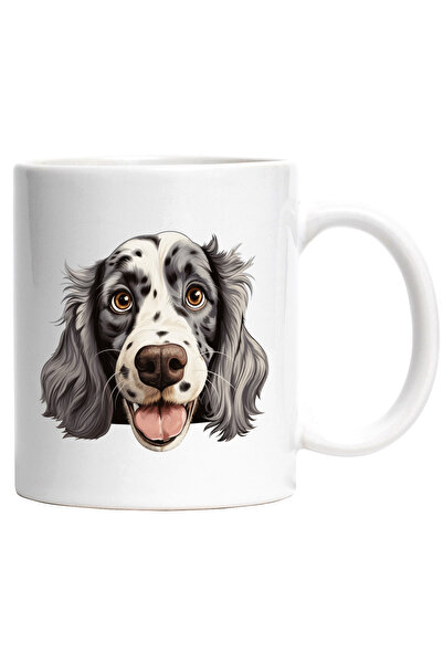 StoryGift Romania Cana cu un caine vesel care abia asteapta sa se joace | ene...