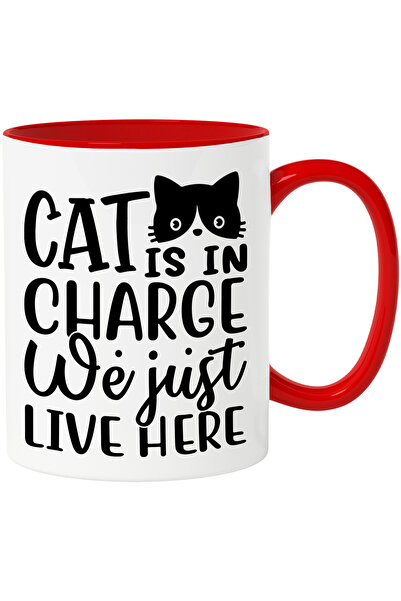 StoryGift Romania Cana pentru cei care ii ofera intreaga autoritate unei pisi...