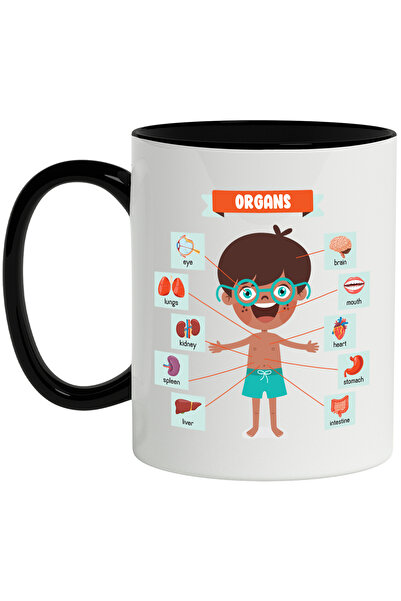 StoryGift Romania Cana Cu Anatomie, Organe, Ochi, Stomac, Gura, Plamani, Diag...