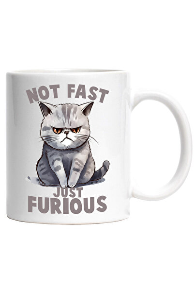 StoryGift Romania Cana cu pisica furioasa cu mesajul "Not fast, just furious"...