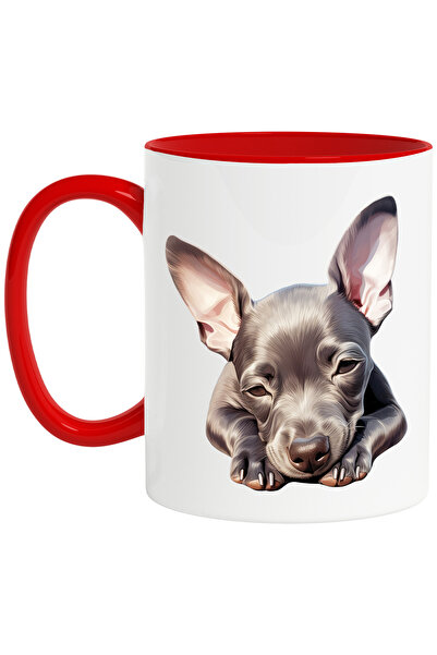 StoryGift Romania Cana cu un catel aproape adormit | ilustratie | somnoros | ...