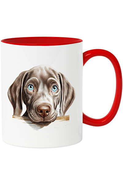 StoryGift Romania Cana cu un caine timid | ilustratie | ochi albastri | putin...