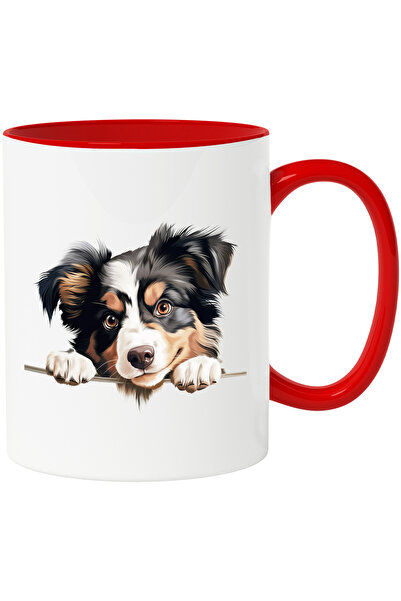 StoryGift Romania Cana cu un caine blanos care se uita peste gard | ilustrati...